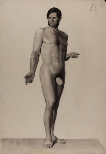 Estudio de modelo masculino desnudo de pie de frente