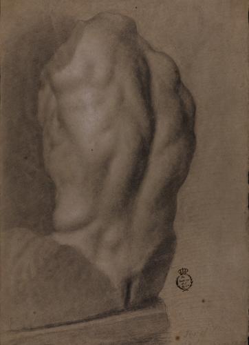 Estudio del torso del Belvedere