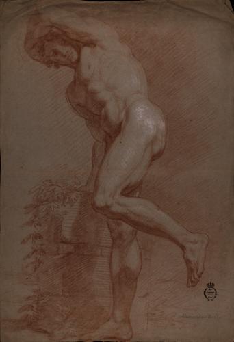 Estudio de modelo masculino desnudo de perfil con la mano izquierda sobre la cabeza y el pie izquierdo levantado