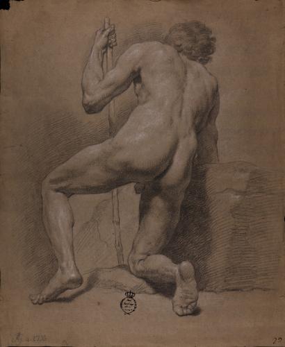 Estudio de modelo masculino desnudo arrodillado de espaldas con una vara