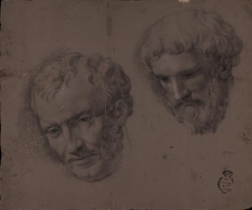Estudio de dos cabezas masculinas barbadas ligeramente inclinadas hacia a la derecha