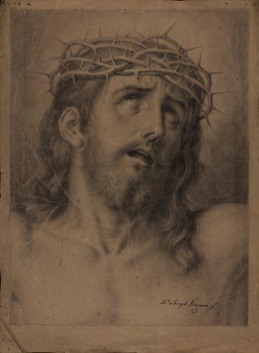 Estudio de cabeza de Cristo con la corona de espinas