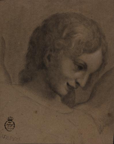 Estudio de cabeza de ángel de Correggio