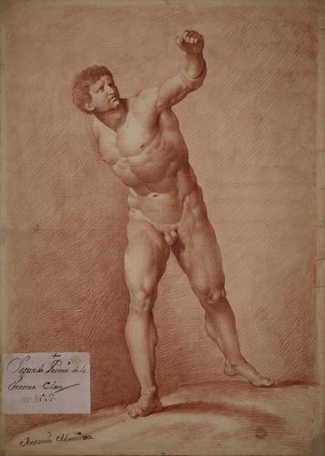 Estudio del gladiador Borghese