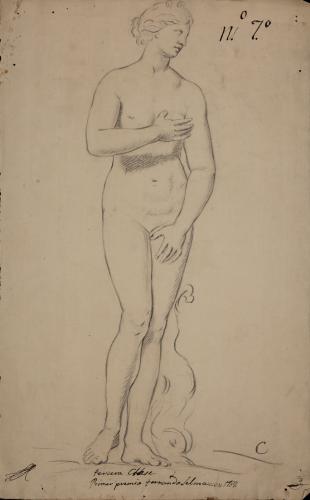 Estudio de la Venus Medici