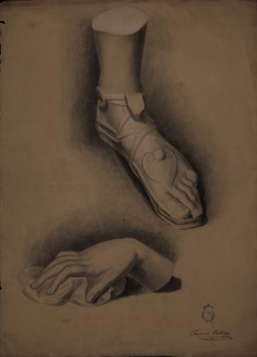 Estudio del pie izquierdo del Apolo Belvedere y modelo en yeso de mano derecha femenina sobre paño
