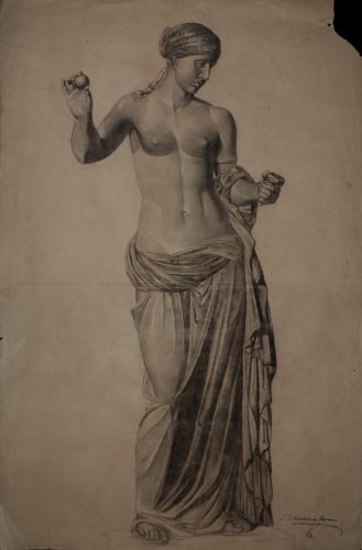 Estudio de la Venus de Arlés