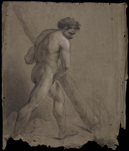 Estudio de modelo masculino desnudo de perfil hacia la izquierda con tronco