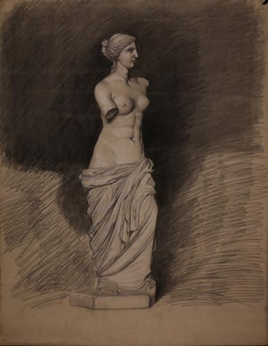 Estudio de la Venus de Milo