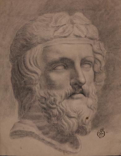 Estudio de la cabeza del Dionisos Farnese