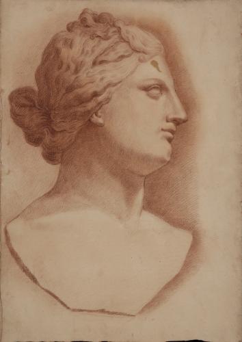 Estudio de la cabeza de la Venus Medici de perfil