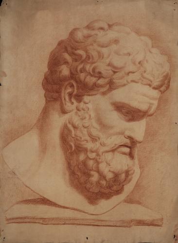Estudio de la cabeza del Hércules Farnese