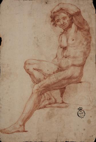 Estudio de modelo masculino desnudo sentado de perfil hacia la derecha