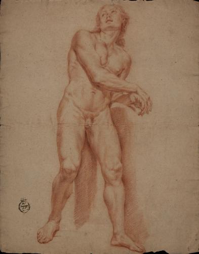 Estudio de modelo masculino desnudo de frente ligeramente girado hacia la izquierda con una mano sobre otra