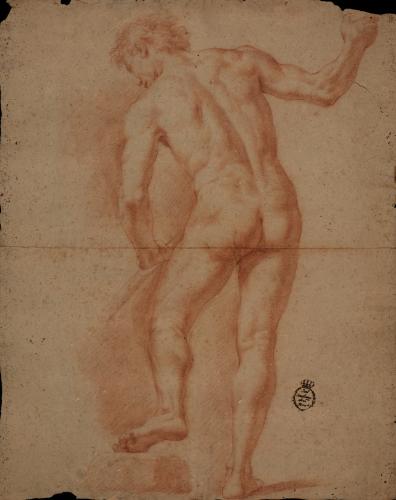 Estudio de modelo masculino desnudo de pie de espaldas con vara