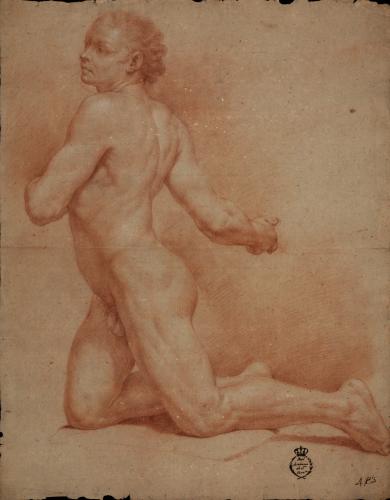 Estudio de modelo masculino desnudo de perfil de rodillas hacia la derecha