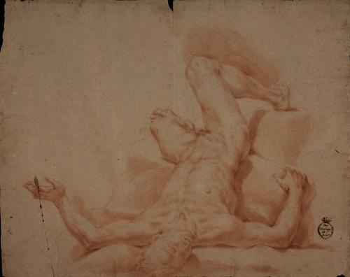 Estudio de modelo masculino desnudo tumbado en escorzo