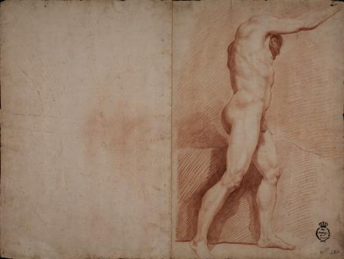 Estudio de modelo masculino desnudo de pie de perfil hacia la izquierda