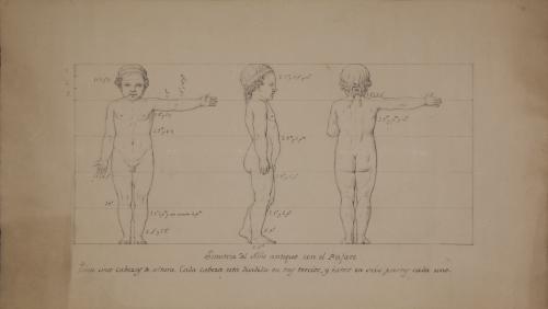 Estudio de proporción de figura infantil de frente, de perfil y de espaldas