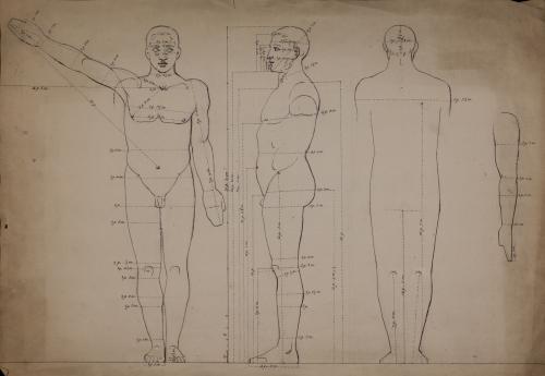 Estudio de proporción anatómica de figura masculina de frente, perfil y de espaldas