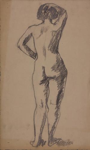 Estudio posterior de modelo femenino desnudo con la mano derecha sobre la cabeza