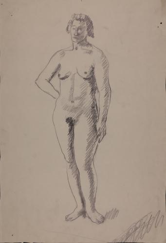 Estudio de modelo femenino desnudo de pie frente con la mano derecha en la cadera