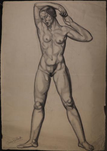 Estudio frontal de modelo femenino desnudo