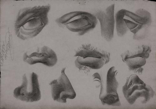 Estudio de ojo, labios y nariz de frente perfil y tres cuartos