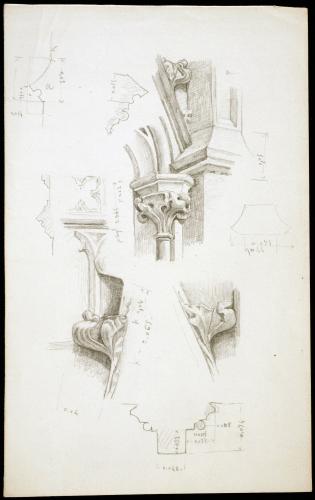 Detalles de ornamentación vegetal gótica, incluidas las secciones y perfiles de los elementos arquitectónicos  a los que están unidos ¿Iglesia de Santa María del Mar (Barcelona)?