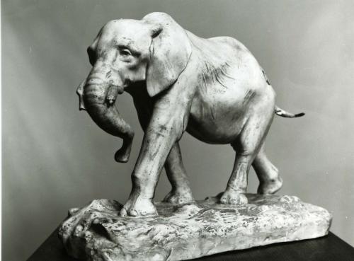 Elefante