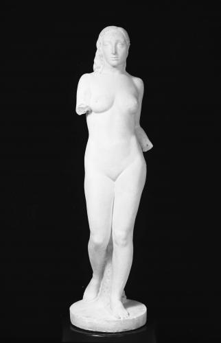 Desnudo femenino