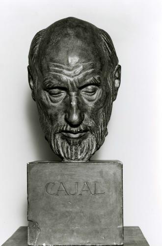 Estudio de la cabeza del monumento a Cajal