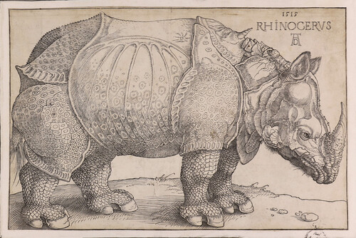 Rhinocervs