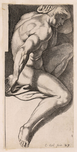 Desnudo