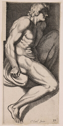 Desnudo