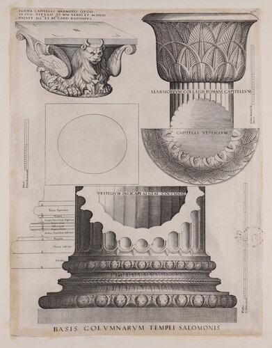 Basis columnarum templi Salomonis