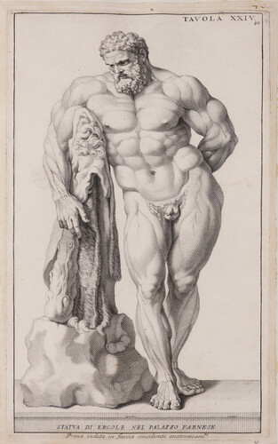 Tavola XXIV. Statua di Ercole del palazzo Farnese