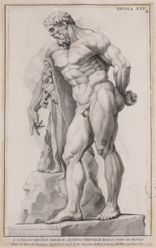 Tavola XXV. L'istesso Ercole Farnese seconda veduta di fianco overo in profilo