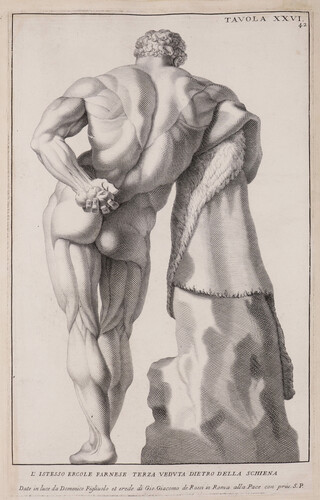 Tavola XXVI. L'istesso Ercole Farnese terza veduta dietro della schiena
