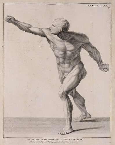 Tavola XXX. Statua del gladiatore nella villa Borghese