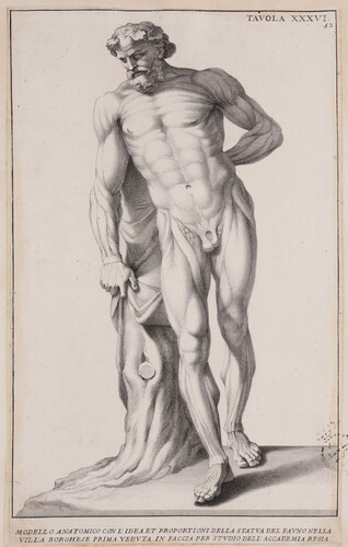 Tavola XXXVI. Modello anatomico con l'idea et proportioni della statua del Fauno nella villa Borghese