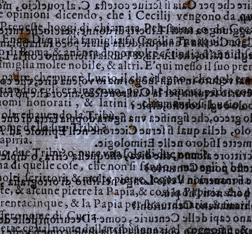 Filigrana de la estampa