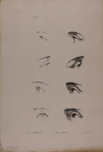 Estudios del ojo izquierdo