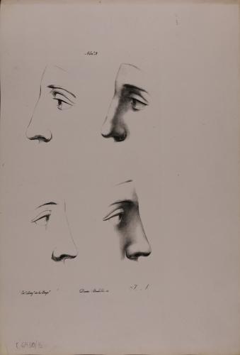 Estudio del perfil izquierdo y derecho del rostro nº9
