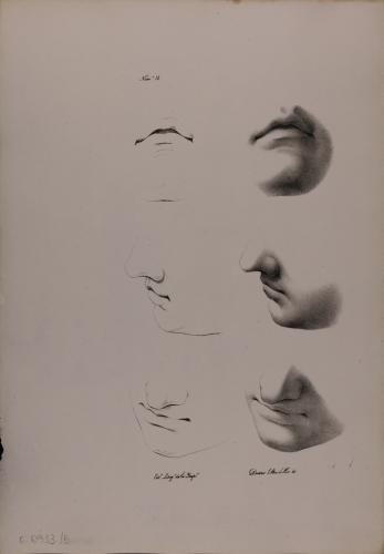 Estudio de bocas y narices nº11