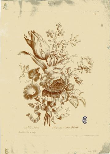 Volubilis, Rose, Tulipe, Hyacinthe, Bluets