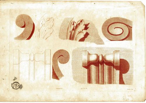 Principes d'Ornements Dessines par Caillouet Et Gravés par Lucien 