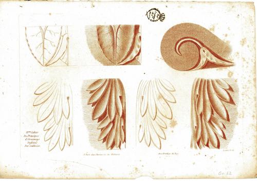 Principes d'Ornements Dessines par Caillouet Et Gravés par Lucien 