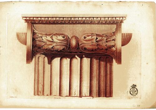 Principes d'Ornements Dessines par Caillouet Et Gravés par Lucien 