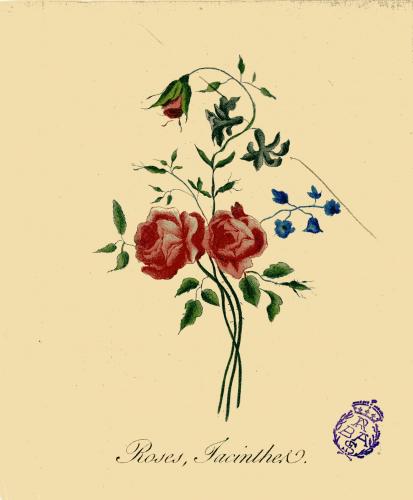 OEILLET et Anémones ; Roses, Jacinthe